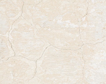 Cracked Wall Beige Food and Product Photography Backdrop