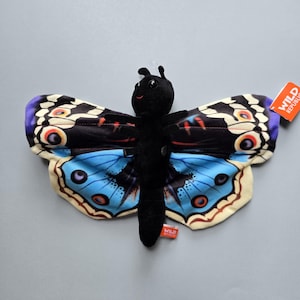May include: A plush butterfly toy with a black body and head, and large wings. The wings are primarily blue with black, red, and cream-colored patterns. A small orange tag with the words "Wild Republic" is attached.