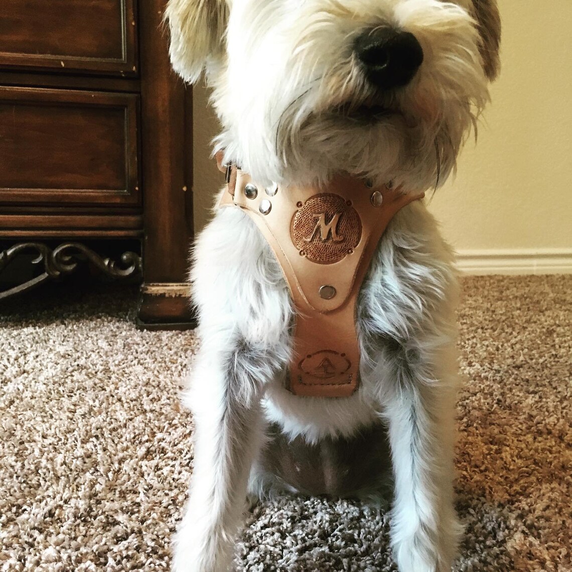 Custom Leather Dog Harness Etsy