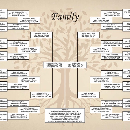 8 Generation Family Tree DIY 24x36 PDF Template paper - Etsy