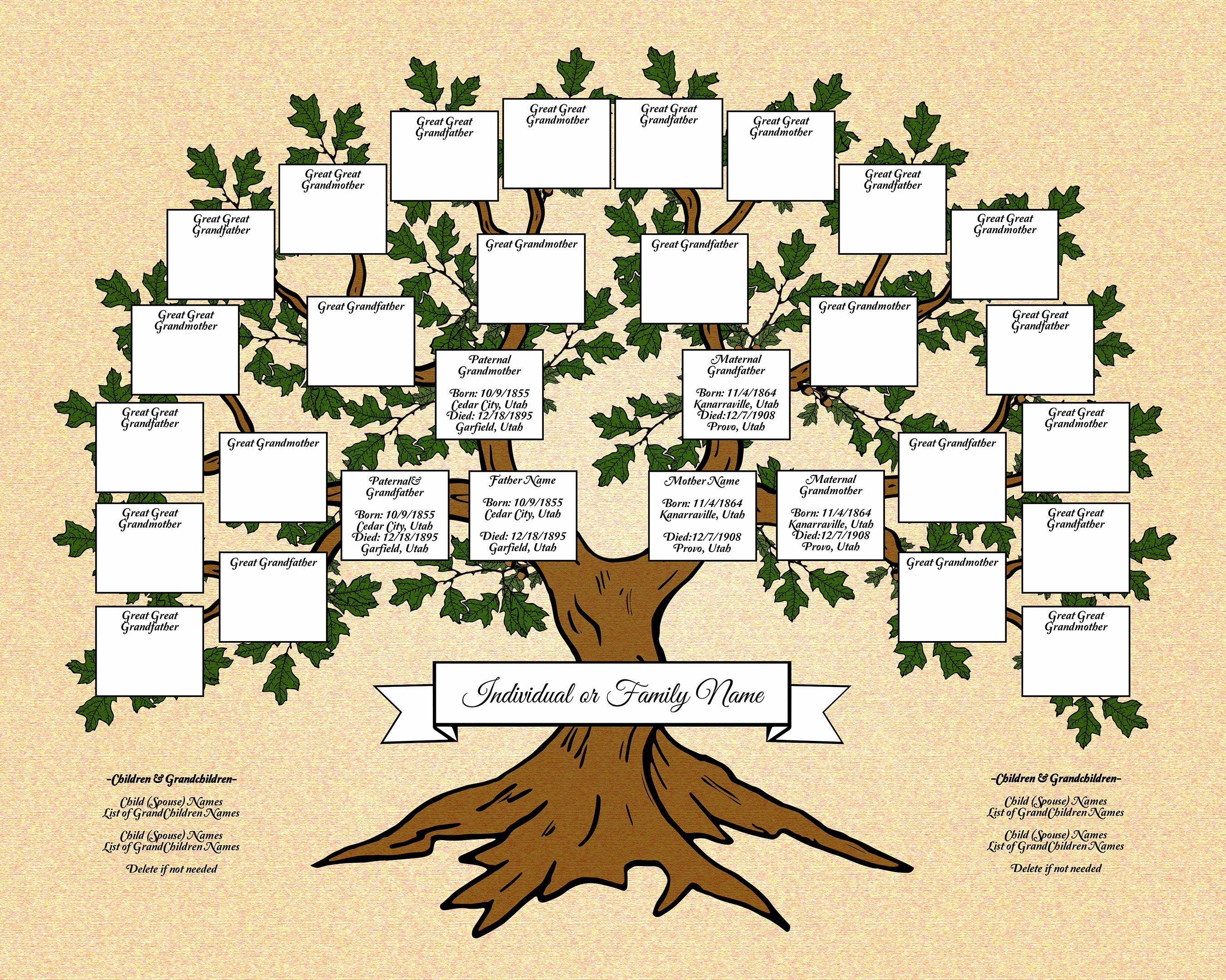 5 Generacion Arbol Genealogico Template