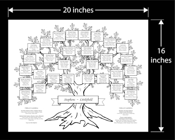 Five Generation Family Tree (DIY) 16x20 Inch Fillable PDF Template