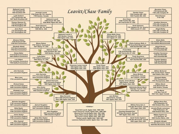 Six Generation Family Tree (DIY) 18x24 PDF Template (green Leaf