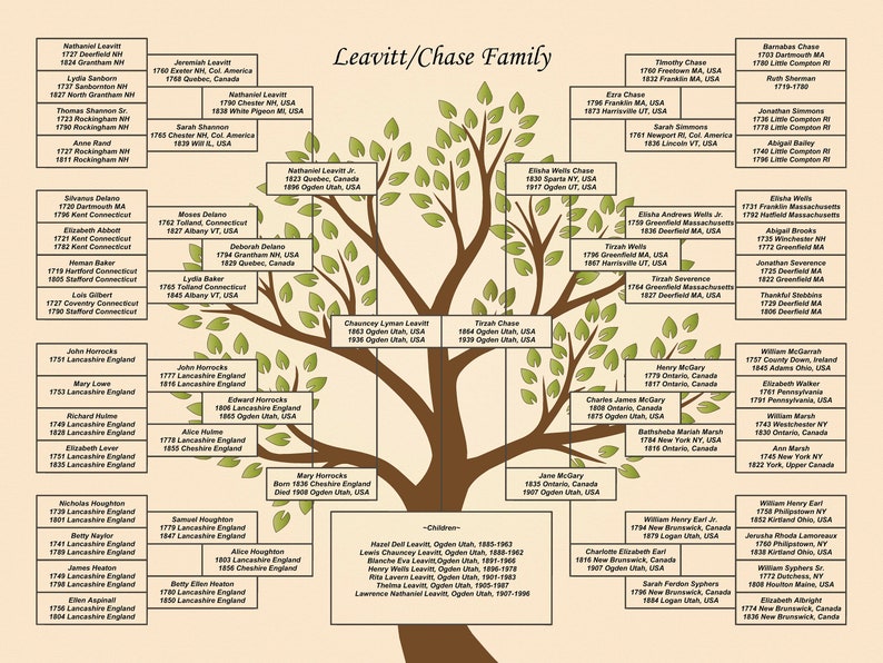 Six Generation Family Tree DIY 18x24 PDF Template green - Etsy