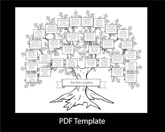 Five Generation Family Tree (DIY) 16x20 Inch Fillable PDF Template