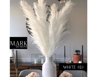 Decor Perfect for Bouquet Extra Large 75 Stem Bundle Including Brown & White Plus Beige Reed Grass Tall 15-19 with Beautiful Full Feathery Plumes Crafts Genuine Natural Dried Pampas Grass
