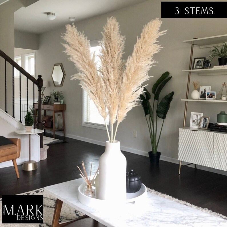 PAMPAS Grass Premium Grade Extra Large 4ft Low Shed Etsy
