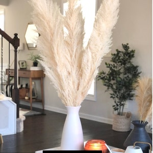 May include: A white vase with bleached white pampas grass in it. The vase is on a table with a candle and a small white pumpkin. The text "BLEACHED WHITE/IVORY" is on the table.