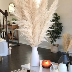 May include: A bouquet of six ivory pampas grass stems in a white ceramic vase on a marble coffee table. The vase is on a white tray with a lit candle and a white pitcher. The text "IVORY (6)" is visible in the image.