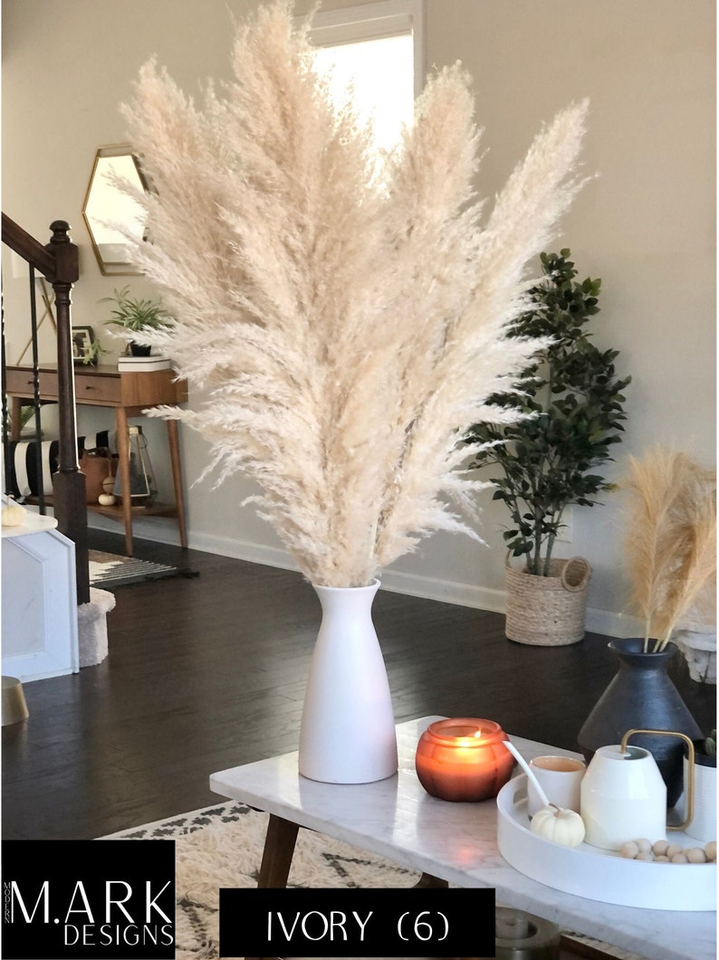 May include: A bouquet of six ivory pampas grass stems in a white ceramic vase on a marble coffee table. The vase is on a white tray with a lit candle and a white pitcher. The text "IVORY (6)" is visible in the image.
