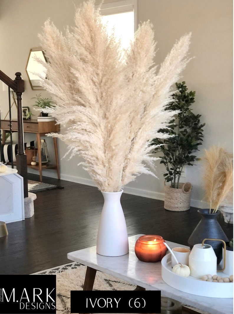 PAMPAS Grass Premium Grade Extra Large 4ft Low Shed Etsy