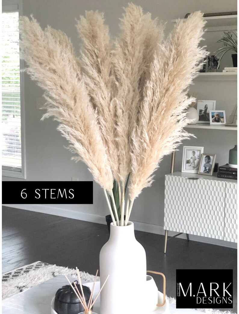 PAMPAS Grass Premium Grade Extra Large 4ft Low Shed Etsy