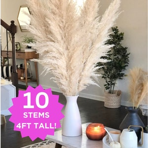 May include: Ten ivory pampas grass stems in a white vase, standing 4 feet tall. The vase is on a marble coffee table with a lit candle and other decorative items.