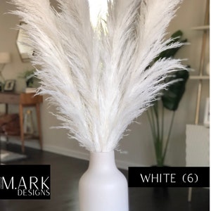 May include: A white ceramic vase with six white pampas grass stems. The vase is sitting on a white surface. The text "WHITE (6)" is visible in the image.