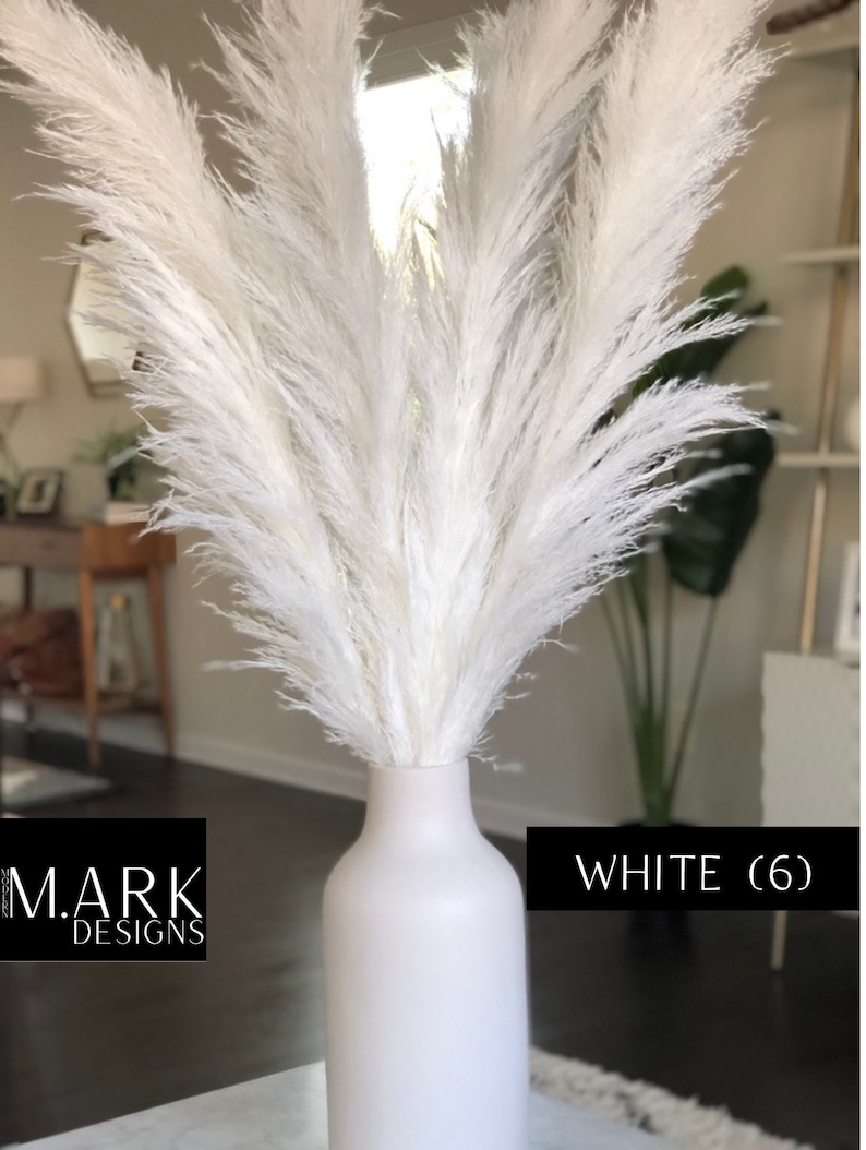 May include: A white ceramic vase with six white pampas grass stems. The vase is sitting on a white surface. The text "WHITE (6)" is visible in the image.