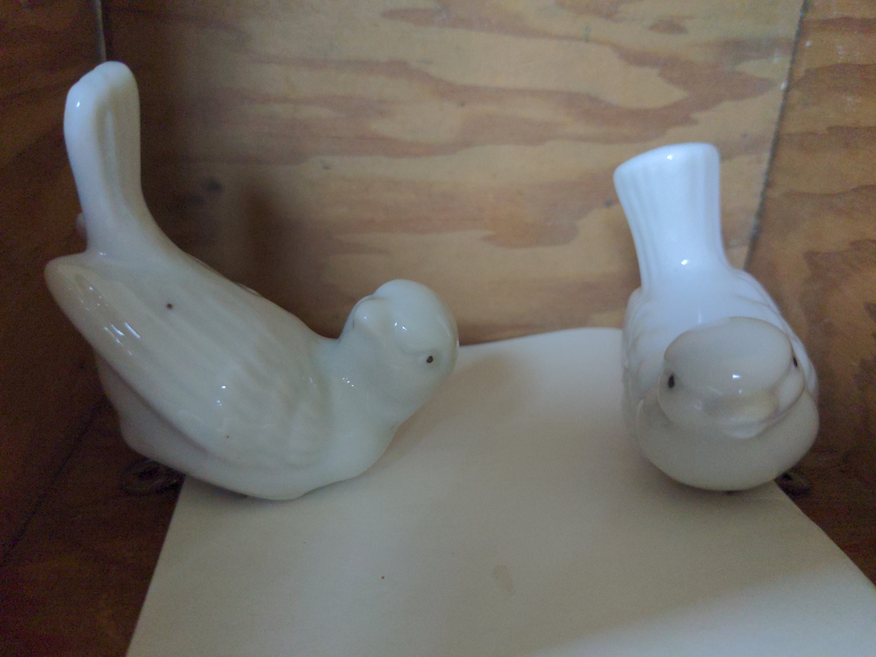 turtle dove retail price