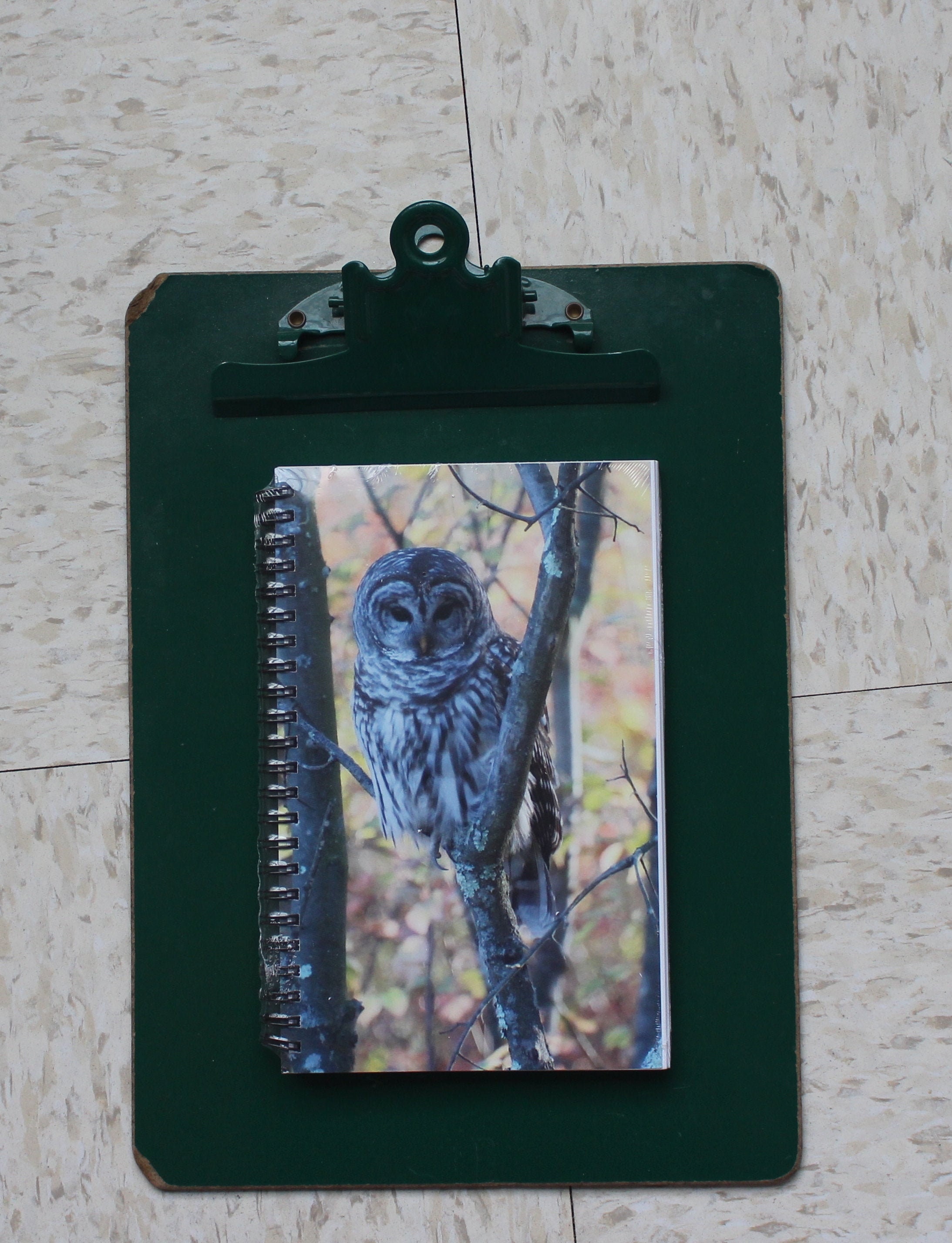 Barred Owl notebook