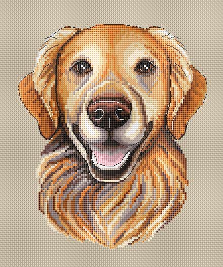 ゴールデンレトリバーのクロスステッチ図案、犬の肖像画刺繍デザイン