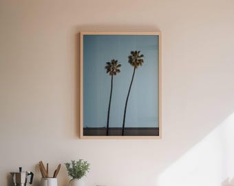 Palm Tree Print, Fine Photography, California Wall Art, Tropical Beach Photo