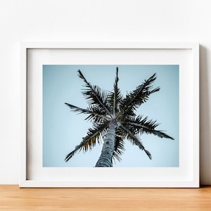 Palm Tree Photograph, Tropical Wall Art, California Print, Los Angeles, Fine Photography, Wall Decor