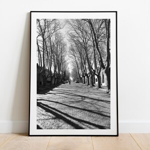 Schwarzweiss Fotografie, Colonia Del Sacramento, Uruguay, Landschaft Luftaufnahmen