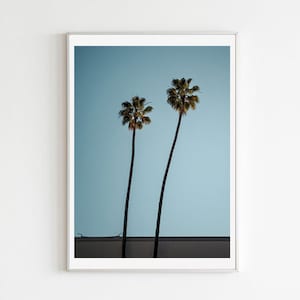 Photography Print, Palm Tree, Tropical Wall Art, California Print, Los Angeles, Fine Photography, Wall Decor, Gallery Wall