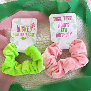 Wicked Scrunchie Party Favors - Wicked Party - Favors - Pink and Green - Elphaba - Glinda - Wicked Birthday - Wicked Goodie Bags - Witch