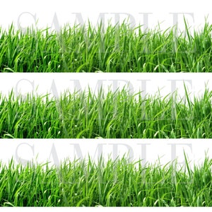 GREEN GRASS EDIBLE image Cake Decorations cake stripes  High Quality Icing sheet grass edible image