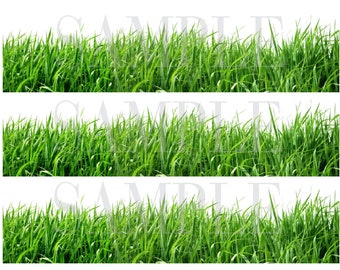 GREEN GRASS EDIBLE image Cake Decorations cake stripes  High Quality Icing sheet grass edible image