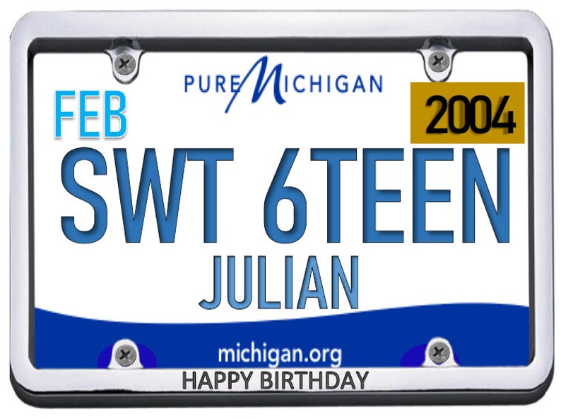 ICING SHEET Custom topper picture 16th Birthday Party,Edible images,14 8x10.5 Sweet Sixteen license plates birthday edible cake toppers