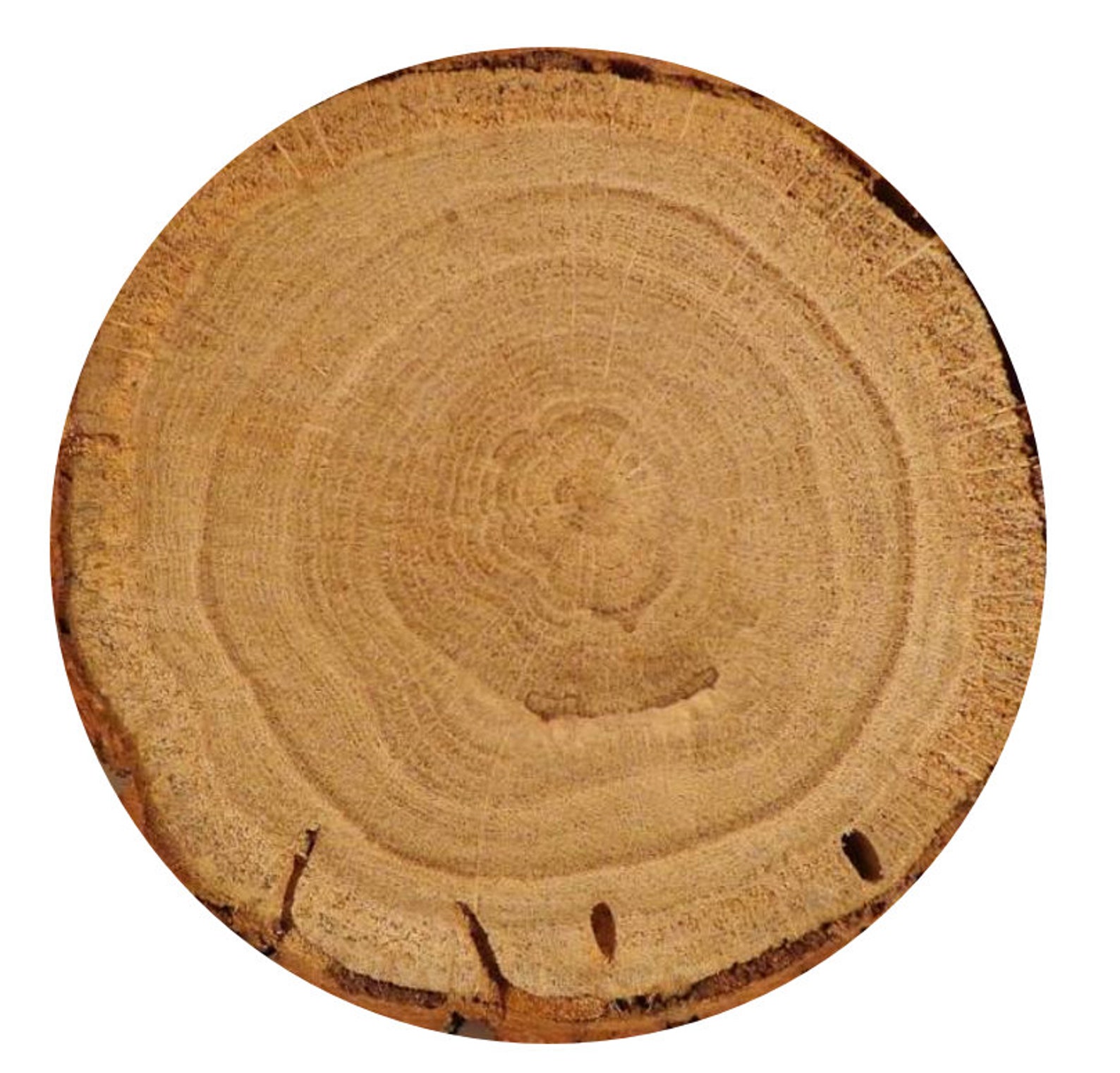 Edible Tree Bark Cake Toppers Cake Rings Wraps Wedding Etsy