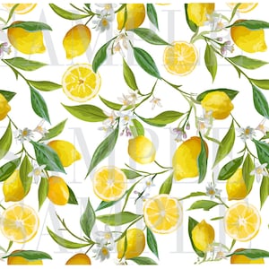 LEMON EDIBLE image Cake Decorations  lemon cake stripes  High Quality Icing sheet lemon edible image