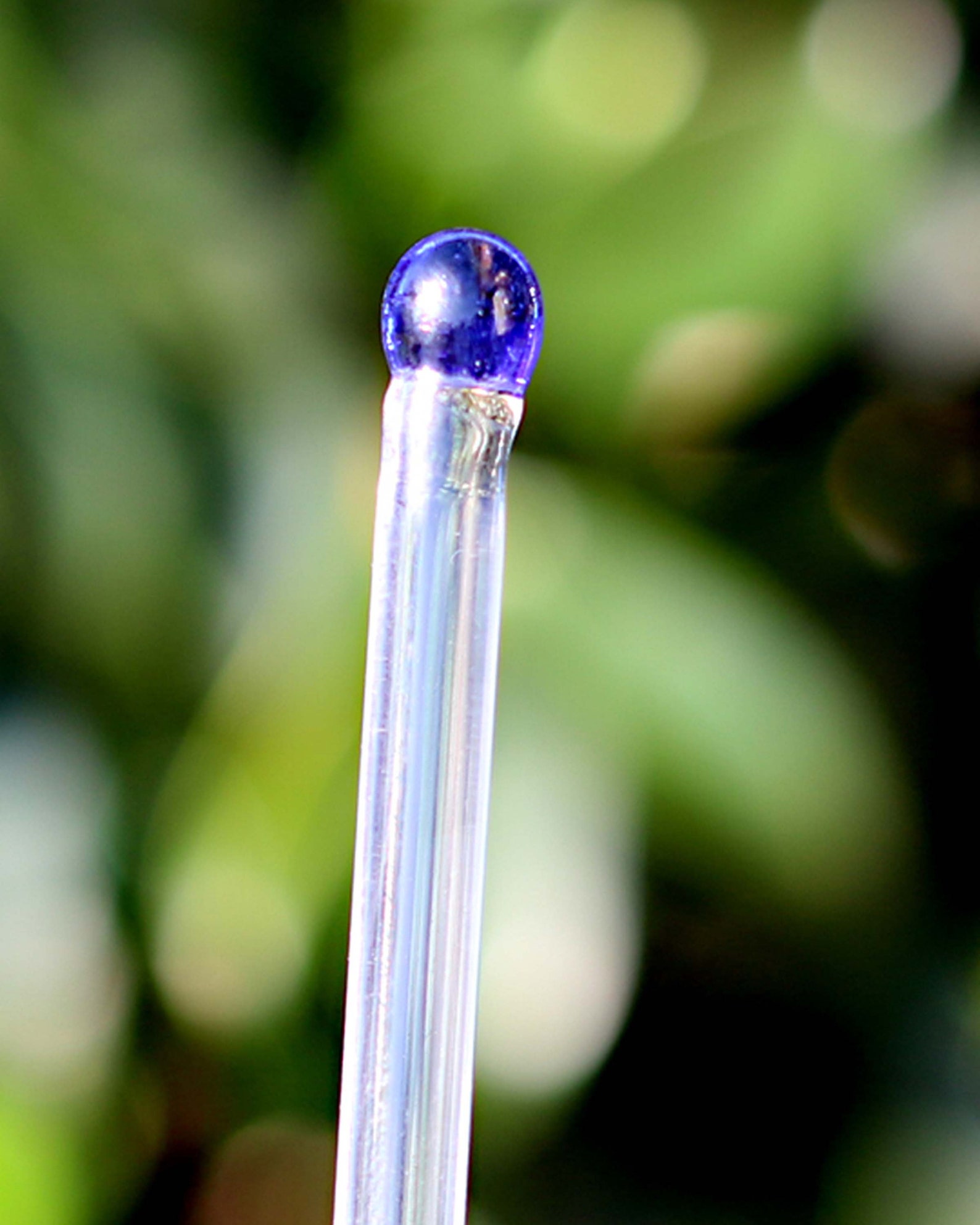 Clear Glass Swizzle sticks with colored ends stirring stick Etsy