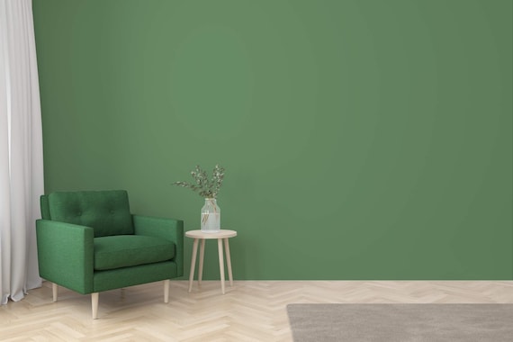 Ontvangst Zelfgenoegzaamheid klein Effen groen zelfklevend behang Green Solid Color - Etsy België