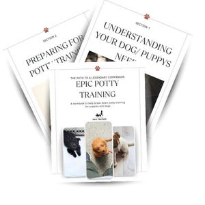 Epic Potty Training Workbook
