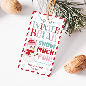 Espero que suas férias de inverno sejam neve, etiqueta de presente para impressão muito divertida, etiqueta de presente de feriado editável do professor, etiqueta de lembrancinha de festa de Natal da escola do aluno