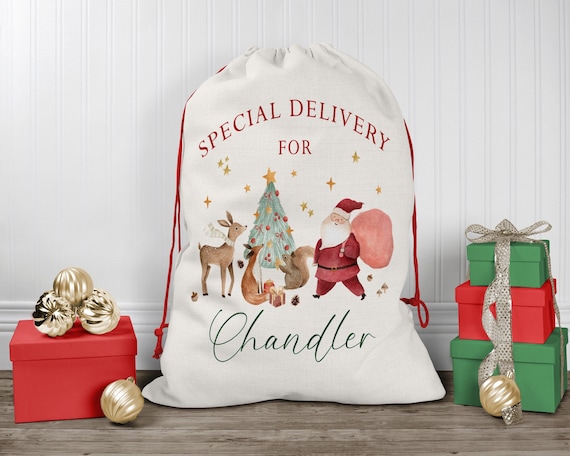 Personalized Santa Sack, Baby First Christmas Present Sack, Christmas Toy Sack, Christmas Eve Box, Special Delivery Christmas Sack Gift Bag