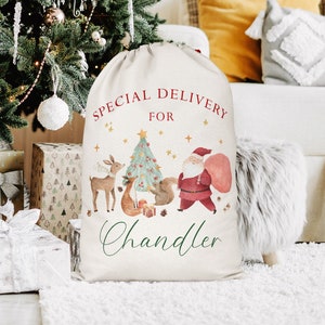 May include: A white canvas Christmas gift bag with a red and green design featuring Santa Claus, a Christmas tree, and woodland animals. The bag has the text "Special Delivery for Chandler" printed on it.