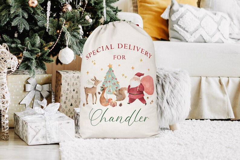 May include: A white canvas Christmas gift bag with a red and green design featuring Santa Claus, a Christmas tree, and woodland animals. The bag has the text "Special Delivery for Chandler" printed on it.