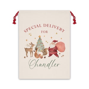 Personalized Santa Sack, Baby First Christmas Present Sack, Christmas Toy Sack, Christmas Eve Box, Special Delivery Christmas Sack Gift Bag image 4