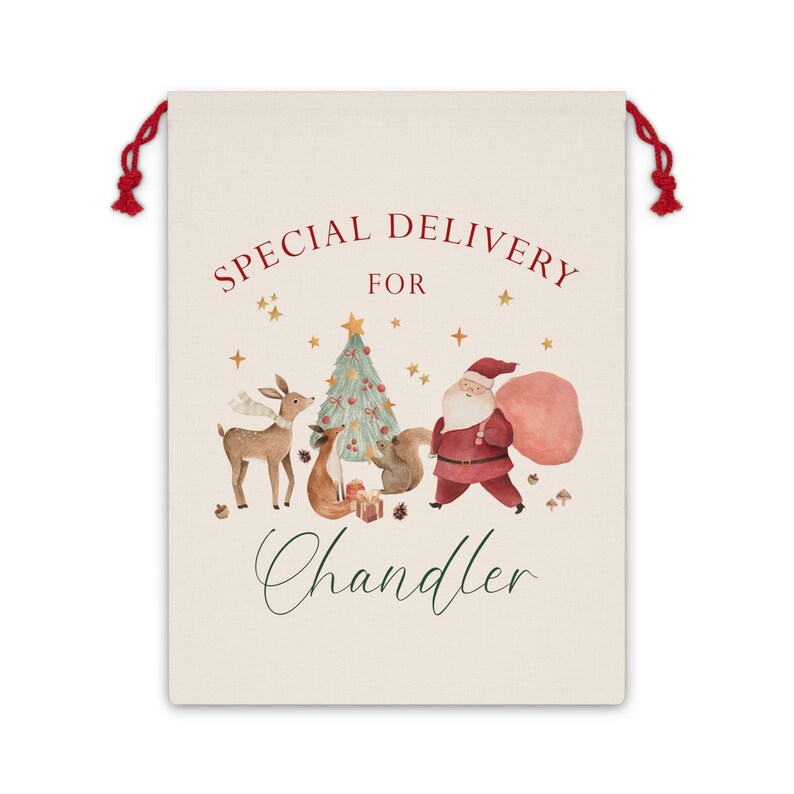 Personalized Santa Sack, Baby First Christmas Present Sack, Christmas Toy Sack, Christmas Eve Box, Special Delivery Christmas Sack Gift Bag image 4
