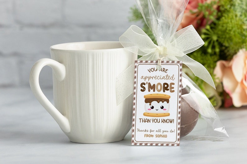 Editable S'mores Gift Tag, You Are Appreciated S'more Than You Know, Teacher Appreciation Gift Tag Printable, Appreciation Tags Download image 1