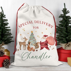 May include: A white canvas Santa sack with red drawstring, featuring a watercolor illustration of Santa Claus, a deer, a fox, and a squirrel around a Christmas tree. The text "SPECIAL DELIVERY FOR Chandler" is printed on the sack.