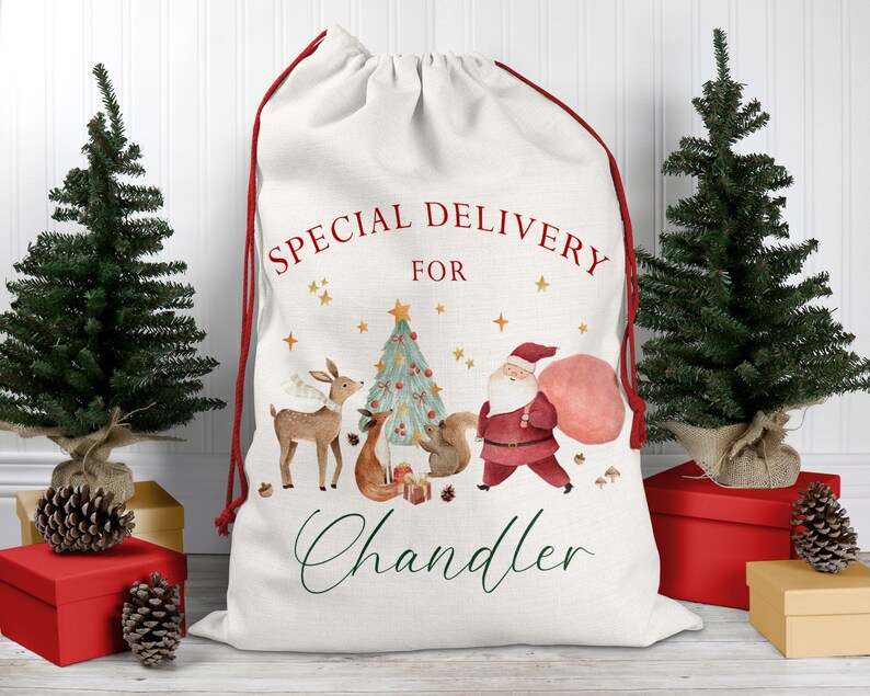 May include: A white canvas Santa sack with red drawstring, featuring a watercolor illustration of Santa Claus, a deer, a fox, and a squirrel around a Christmas tree. The text "SPECIAL DELIVERY FOR Chandler" is printed on the sack.