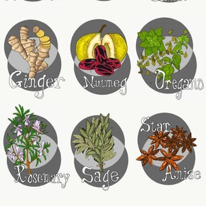 gift for cook, Custom set of illustrated spice jar labels, spice tin labels, kitchen organization