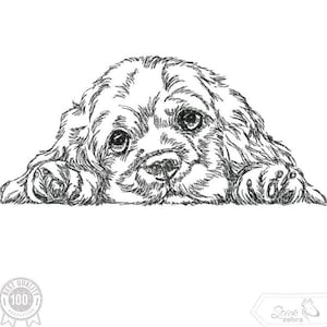 Könnte beinhalten: Schwarz-weiß-Zeichnung eines Cocker Spaniel-Welpen mit großen Augen, der nach oben schaut und seinen Kopf auf einer Oberfläche ruht.