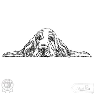 May include: Black and white line art illustration of a Bloodhound dog peeking over a surface with its front paws resting on the surface.