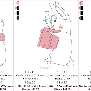 以下が含まれることがあります： ピンクのストールを巻いたウサギ、ピンクのギフトボックスを持ったウサギ、ピンクの帽子とマフラーをつけた女の子がピンクの浮き輪に乗っている、3つの刺繍デザイン。デザインは「Hase 1」、「Hase 2」、「M&auml;dchen」とラベル付けされています。