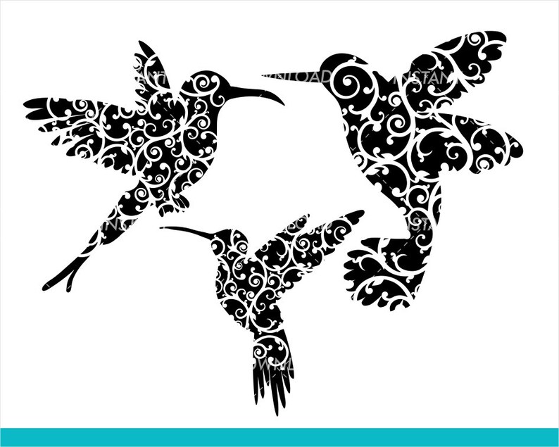 Download Fancy Floral Flourish Hummingbirds SVG File / Fairy Garden SVG | Etsy