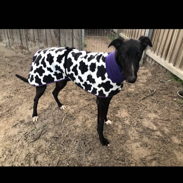 Greyhound Coats Etsy